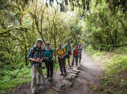 Group trek path of Inca Trail, Peru