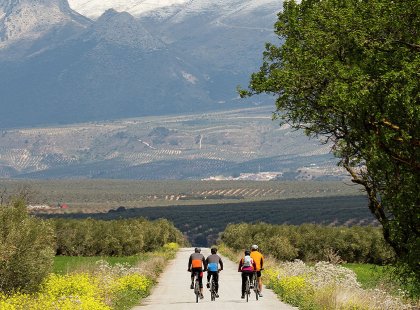 Our energetic local guides lead the way to Granada in the shadow of the Sierra Nevada Mountains. This mountain range contains the highest point in continental Spain.