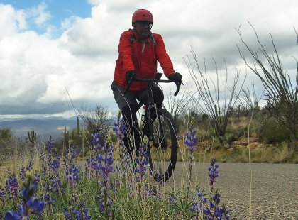 Depending on season, desert lupine and poppies offer color to the green and brown desert landscapes.