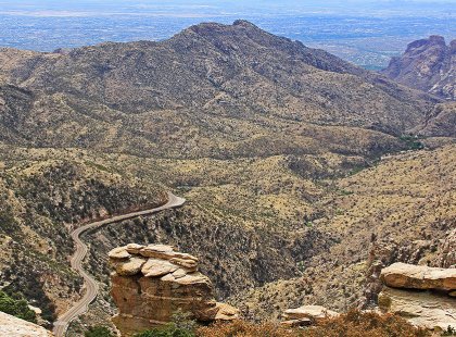 On our rest day, if you must cycle then tackle the legendary Mt. Lemon climb or the leisurely Catalina State Park loop ride.