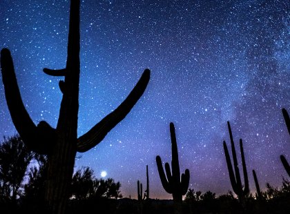 Starry skies are beautiful outside Tucson's and Phoenix's city lights and among the cacti.