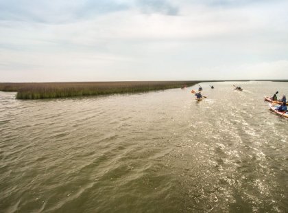 Paddle through the tidal creeks and inlets of Caper’s Island.