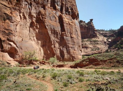 Hike into the heart of mysterious Canyon de Chelly National Monument and discover a landscape filled with tranquil riparian beauty and remnants of the indigenous cultures that have inhabited this region for over 5,000 years.