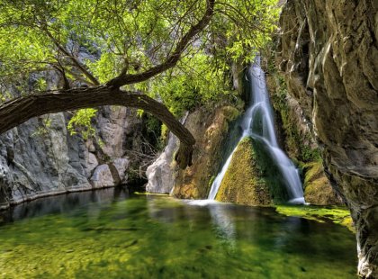 Near Panamint Springs you will find Darwin Falls, luscious greenery in a dry climate.