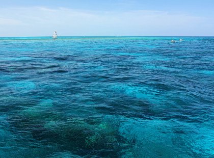 At over 70 nautical square miles John Pennekamp Coral Reef State Park has the distinction of becoming the first designated undersea park in the United States.