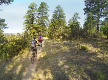 A bit of shaded single-track in Kaibab National Forest
