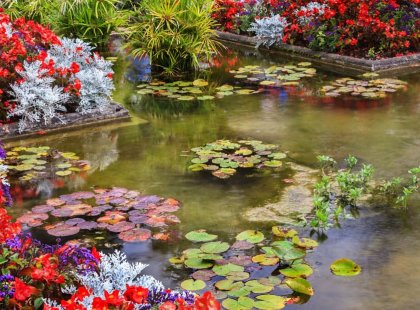 Butchart Gardens, a must see garden of lush greens and colorful blooms, have highlighted the area for more than 100 years.