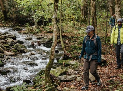 Hike through one of the most biologically diverse forests on the planet.