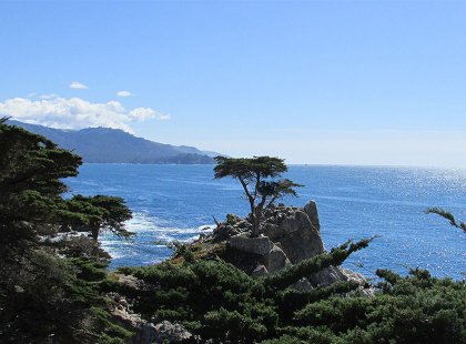 The Lone Cypress in Pebble Beach along the 17-Mile Drive is an icon of the Pacific Coast representing all that Big Sur and the coast has to offer.