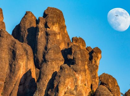 Only two hours from the urban enclaves of California’s Bay Area lies Pinnacles National Park, an unspoiled wilderness wonderland filled with oak forests, talus caves and towering spires of volcanic rock.