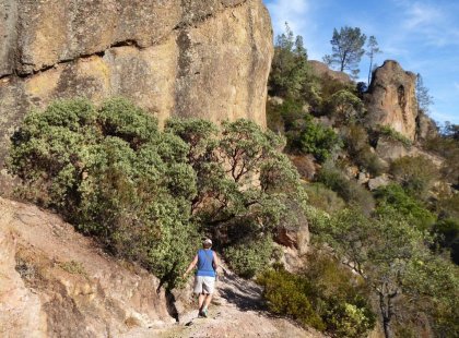 Pinnacles’ trail network – much of it constructed by the Civilian Conservation Corps in the 1930s – provides access to many of the special features that make the park such an outstanding hiking destination.