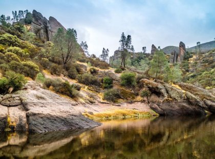 Originally established as a national monument in 1908 by Theodore Roosevelt, Pinnacles’ decades-long protected status has created a haven for over 500 native plant species and dozens of animal species that make the park their home.