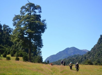 Travellers walking over the flat pampas in between big mountains